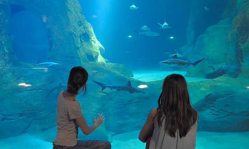 Aquarium de Biarritz
